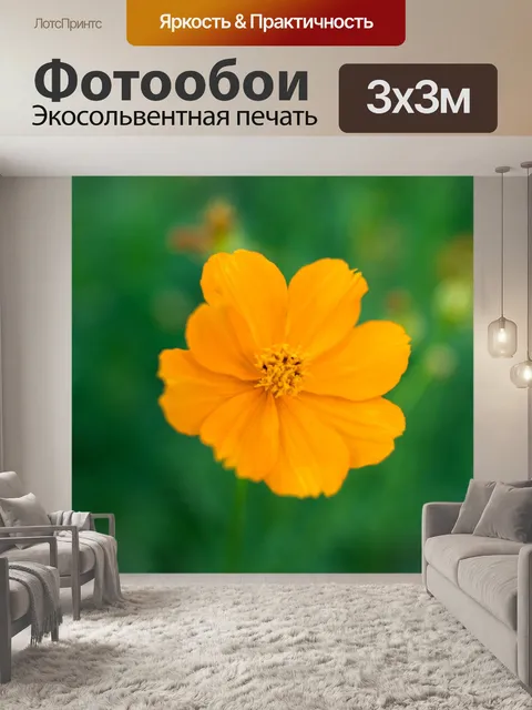 Фотообои Цветок