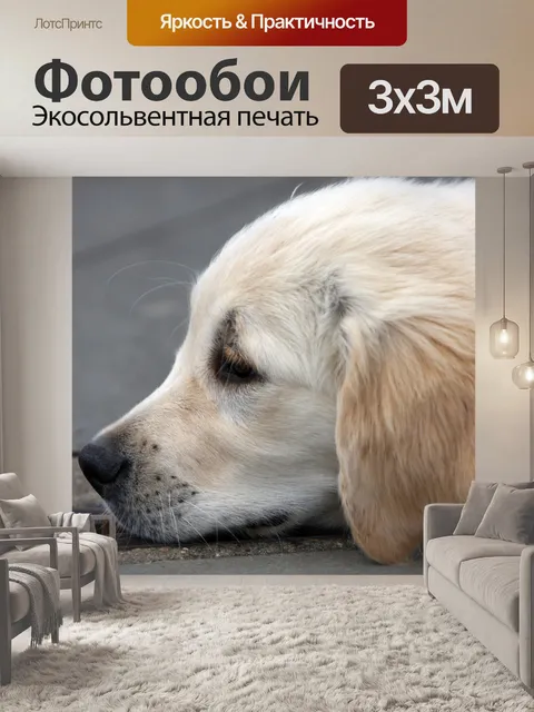 Фотообои Милый щенок собаки