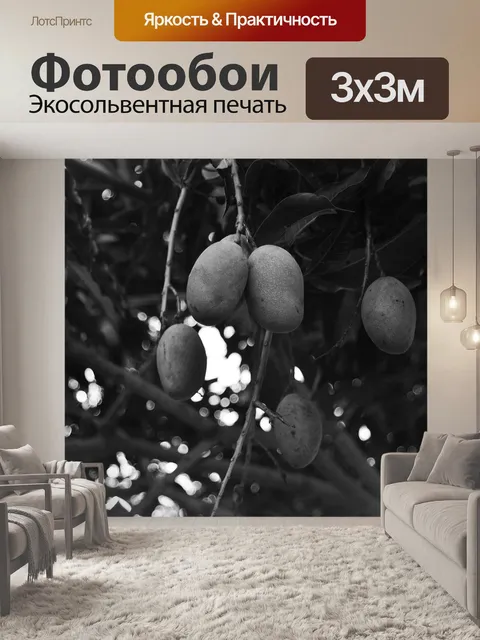 Фотообои Манго