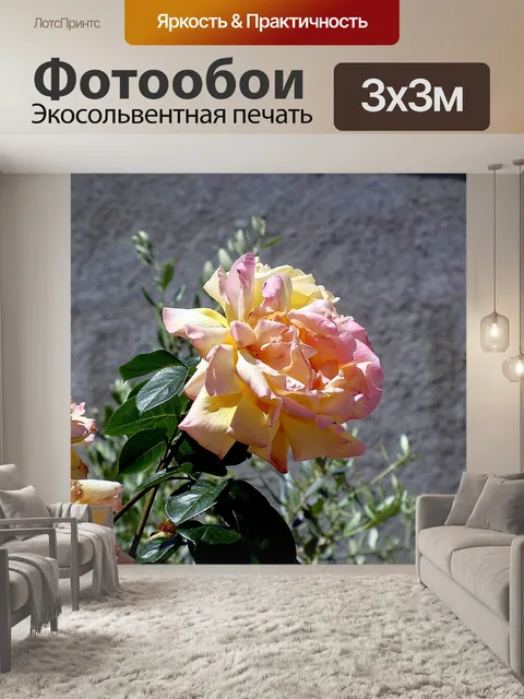 Фотообои Розы