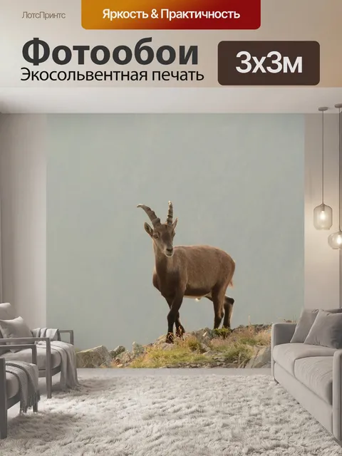Фотообои Замша