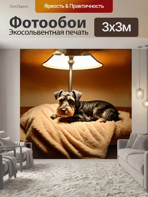 Фотообои цвергшнауцер уютно свернулся калачиком на мягком пледе, создавая атмосферу домашнего уюта