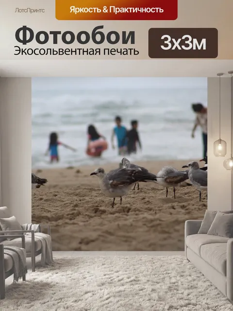 Фотообои Чайки
