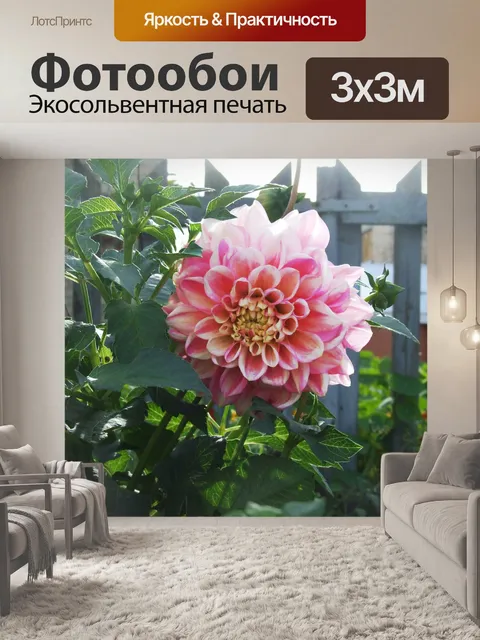 Фотообои Розовый георгин