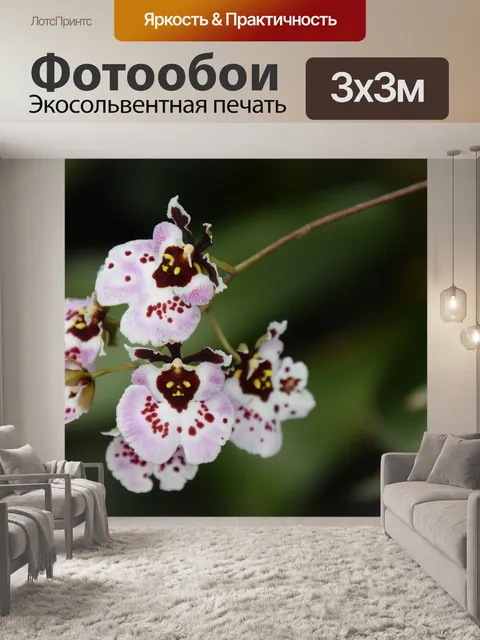 Фотообои Фруктовый сад
