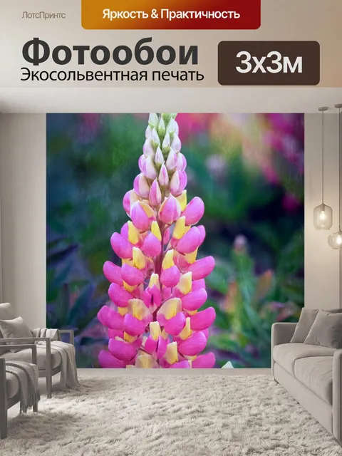 Фотообои Розовый цветок люпина