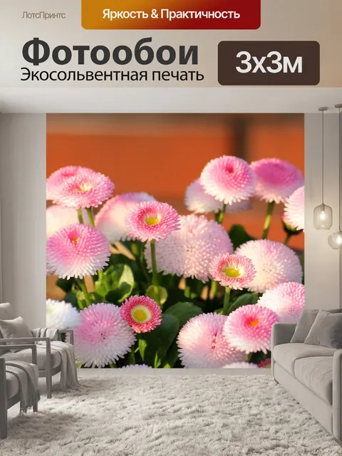 Фотообои Ромашки