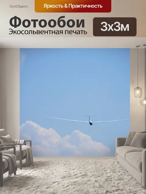 Фотообои Планер