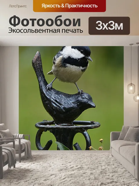 Фотообои Каменная синица