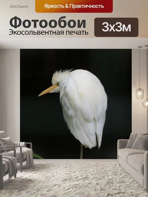 Фотообои Птица