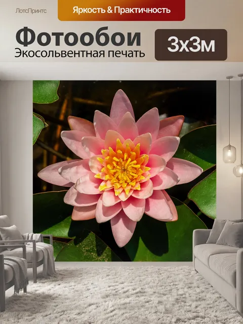Фотообои Цветок лотоса
