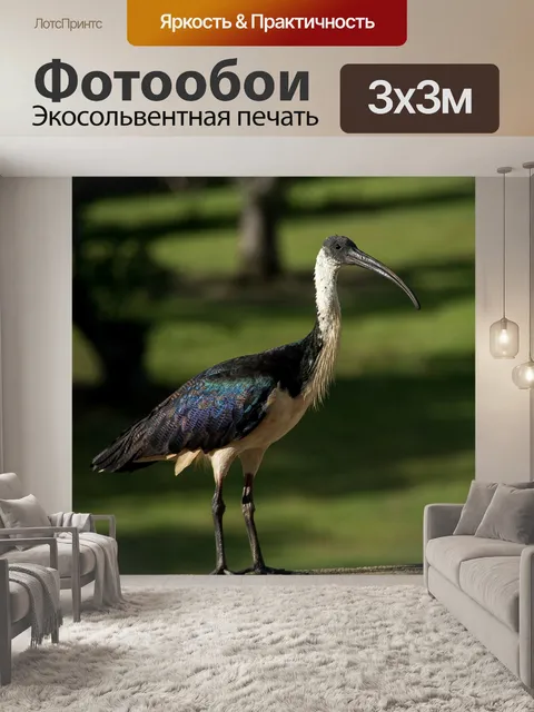 Фотообои Птица