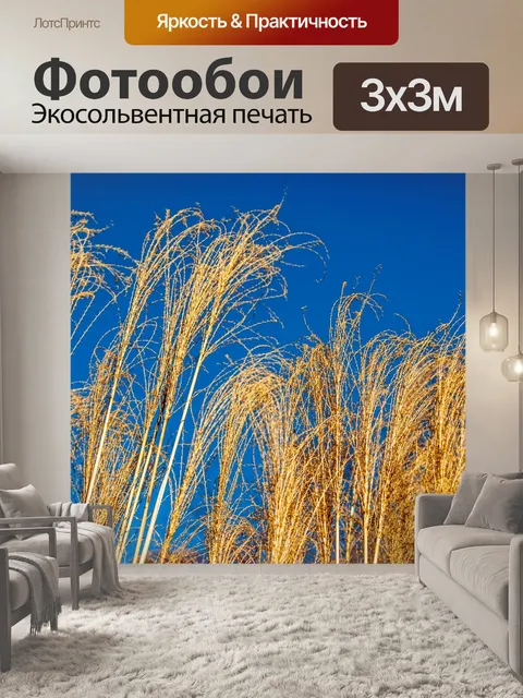 Фотообои Золотые Травы и голубое небо