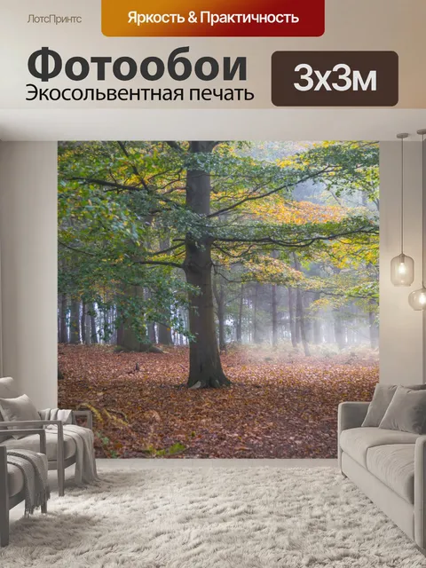 Фотообои Туманный лес