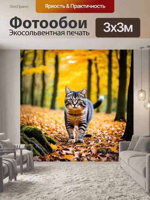 Фотообои кот, исследующий лес в осеннюю пору