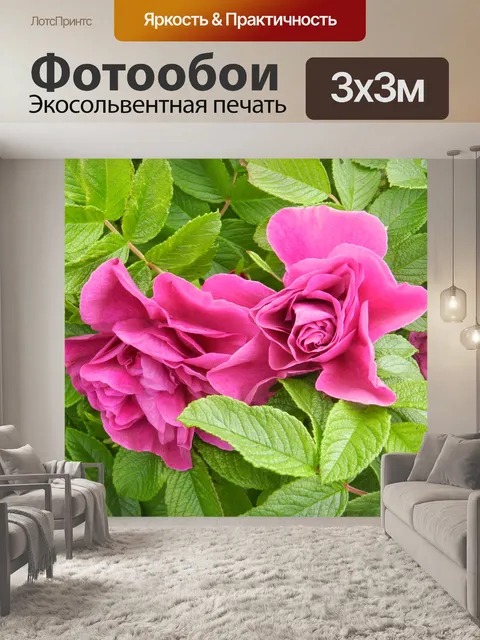 Фотообои Дикая роза 5
