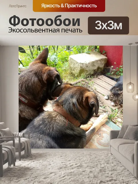 Фотообои Смертельные враги