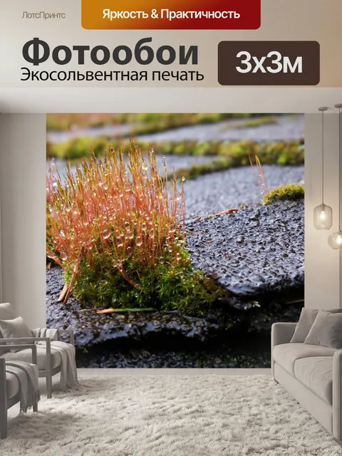 Фотообои Мох