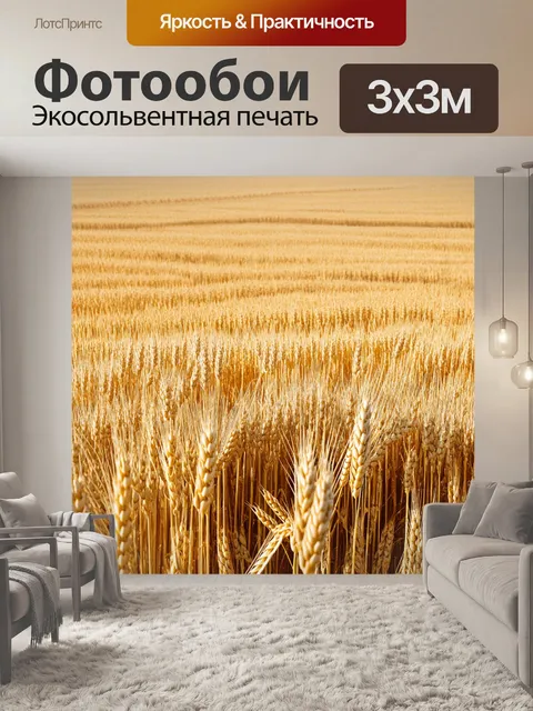 Фотообои текстура широких полей пшеницы