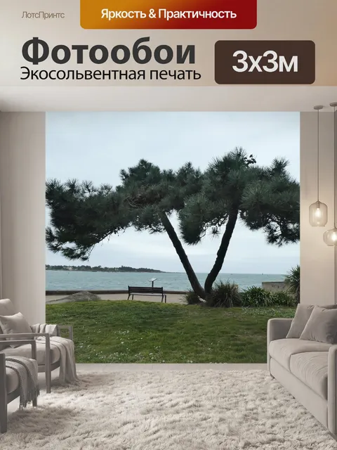 Фотообои Зонтик сосны у моря