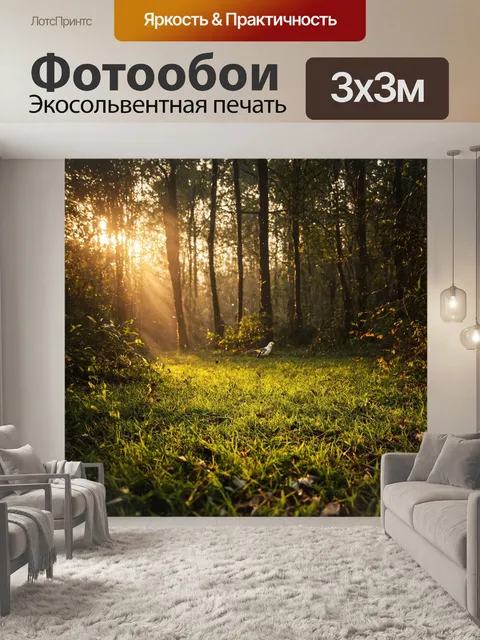 Фотообои утро, лесной пейзаж, где солнечные лучи пробиваются сквозь листву деревьев, создавая причудливые узоры на…