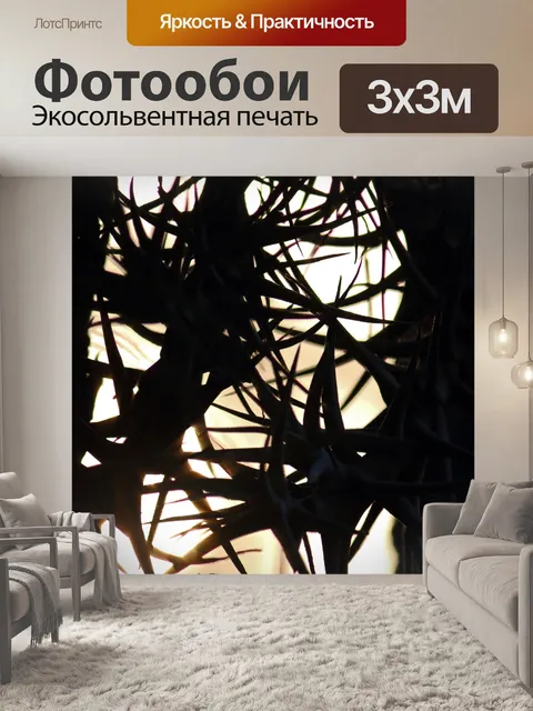Фотообои силуэт эпифитных растений