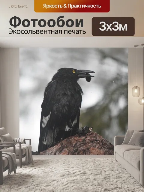 Фотообои Птица