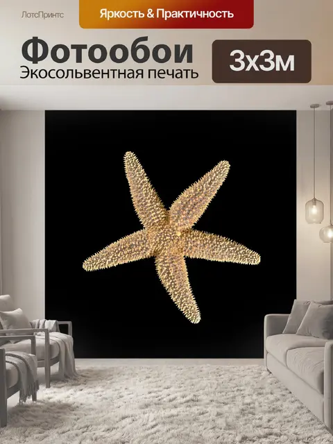 Фотообои морская звезда
