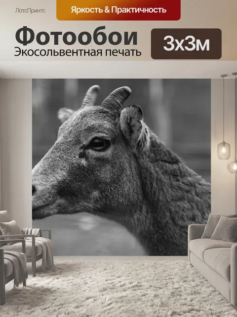 Фотообои Черный и белый