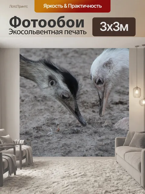 Фотообои Нанду