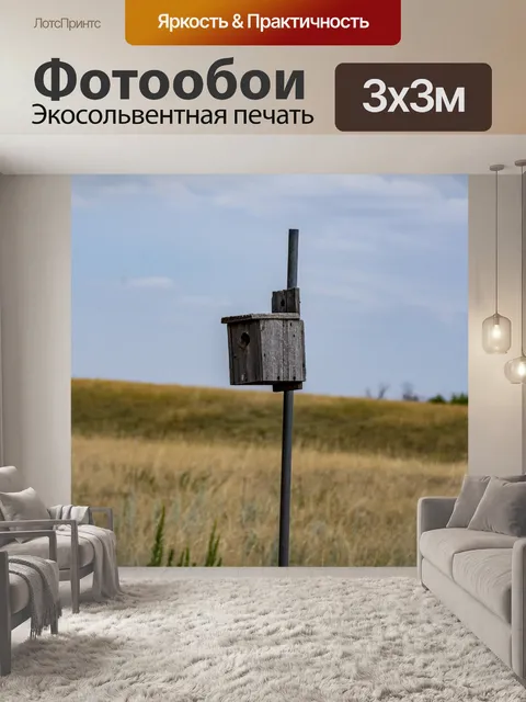 Фотообои Скворечник