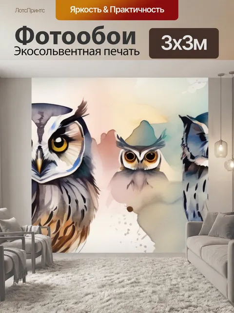 Фотообои птицы совы