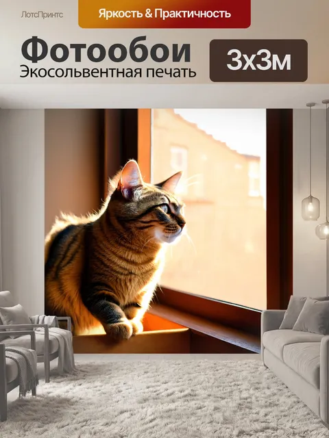 Фотообои кошка, ловящая солнечные лучи через окно