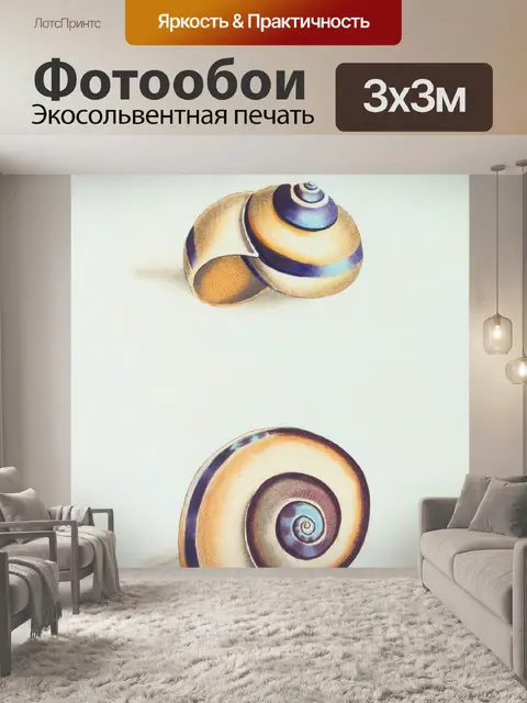 Фотообои Улитка моллюск винтаж старый