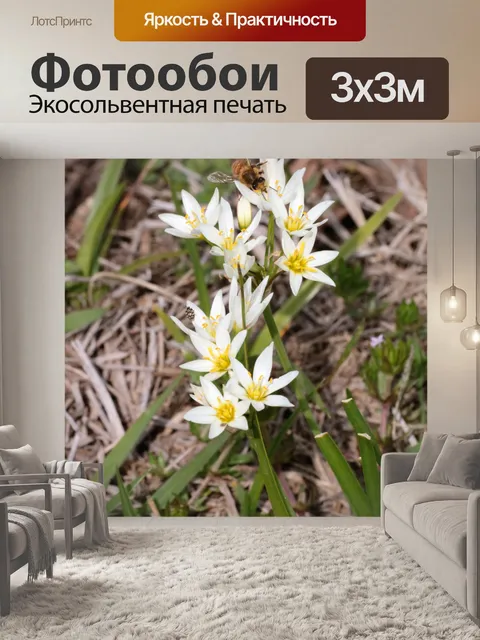 Фотообои Ложные чеснок Полевые цветы и пчела 2