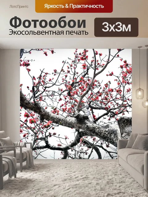 Фотообои Хлопковое шелковое дерево 6