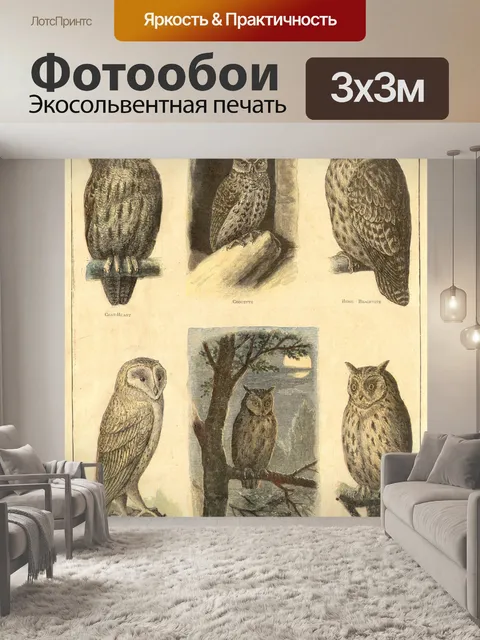 Фотообои Птицы винтаж совы старые
