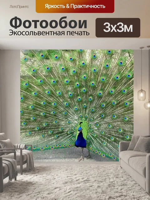 Фотообои Павлин