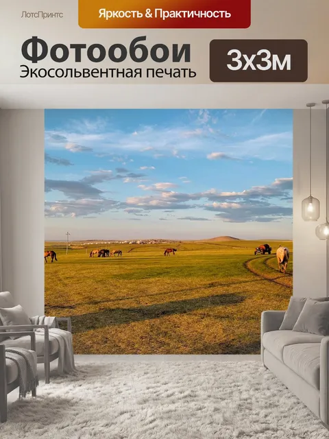 Фотообои Лошадь