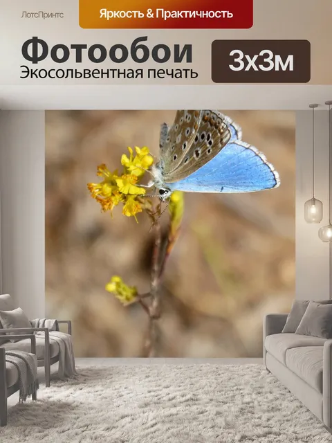 Фотообои Голубая бабочка