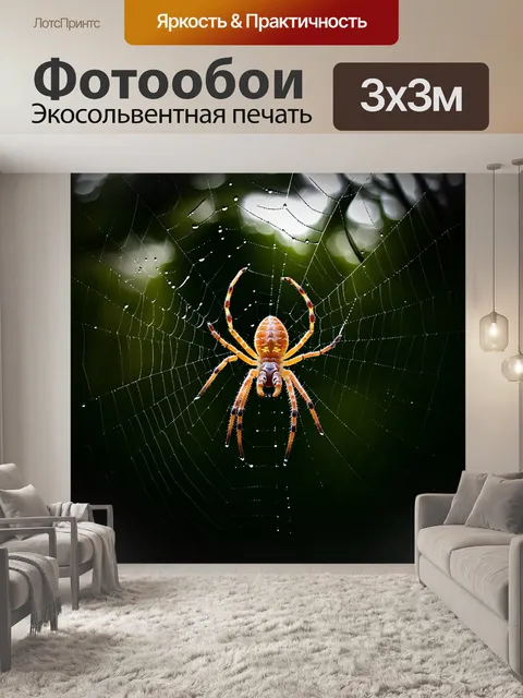 Фотообои изображение небольшого паука, свернувшегося в паутину в тени леса