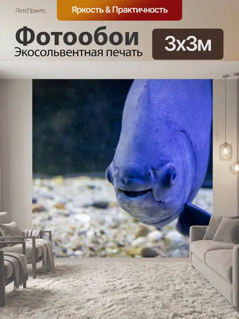 Фотообои Пиранья