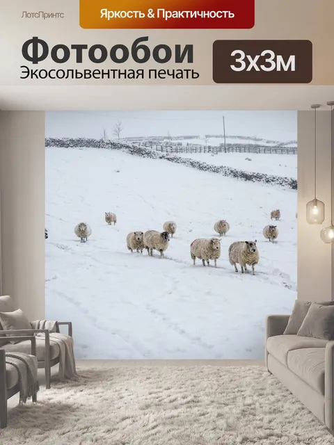 Фотообои Овцы зимой