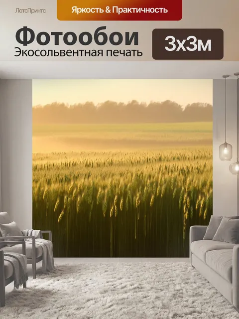 Фотообои утро, утренний туман над полями, где стебли пшеницы покачиваются на ветру