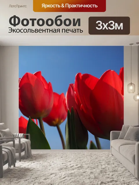 Фотообои Тюльпаны
