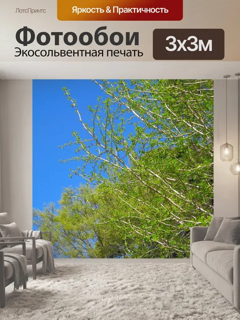 Фотообои Дерево гинкго