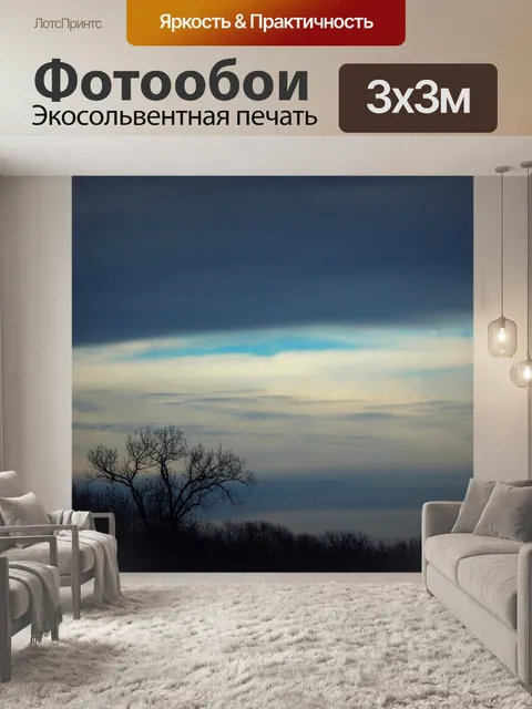 Фотообои Лес