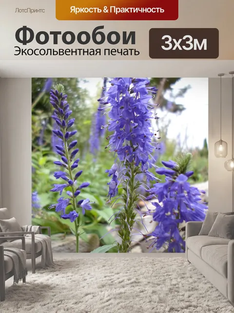 Фотообои Фиолетовый Синий цветы фиолетовые