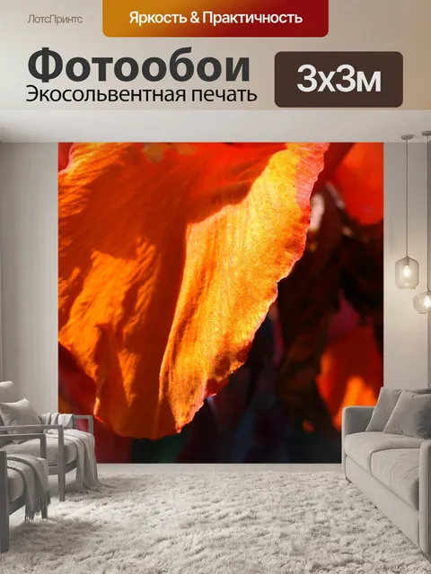 Фотообои крупным планом лепесток апельсиновой кан