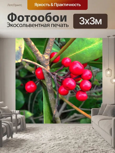 Фотообои Красные ягоды завод